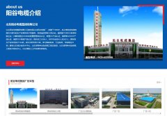 山东阳谷电缆集团有限公司官网全新上线
