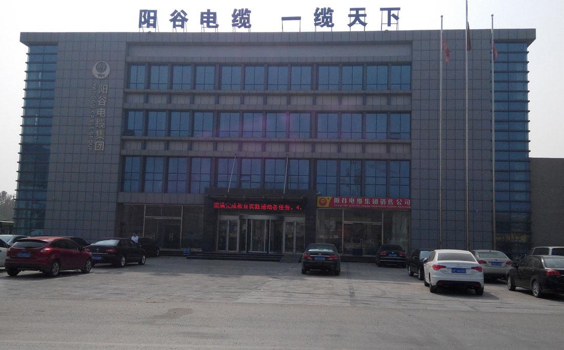 阳谷电缆办公大厦